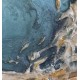 Deniz Kayaçları - Songül Pamuk - Kayaçlar Kişisel Jeot Sergisi