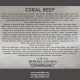 Coral Reef 10 - Dr Menekşe Sakarya Kişisel Sergi