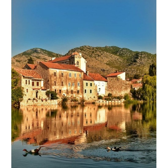 Fotoğraf Fotoğraf