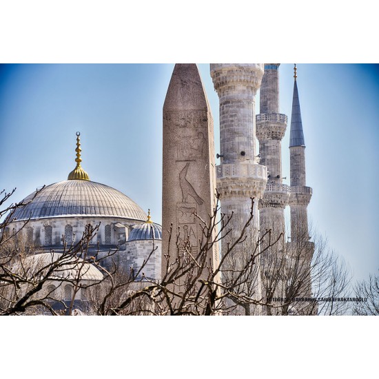 Fotoğraf Fotoğraf