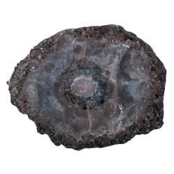 Mistery Behind The Mist