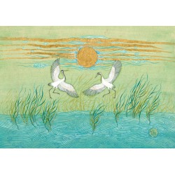 Dans Eden Turnalar Var