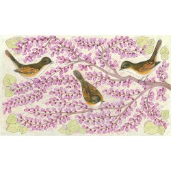 Erguvan Dalında Kuşlar