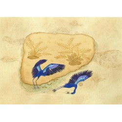 İki Mavi Balıkçıl