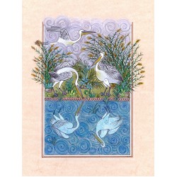 Pelikanların Suya Aksi