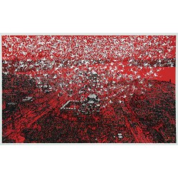 İstanbul'da Kuşlar