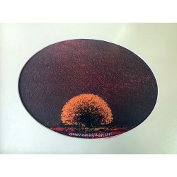 Yağlıboya, Akrilik